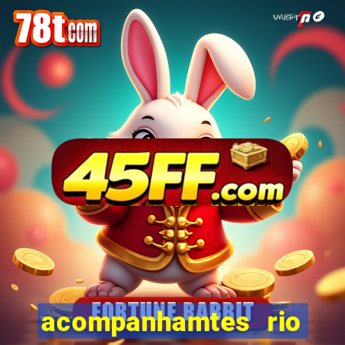 acompanhamtes rio de janeiro